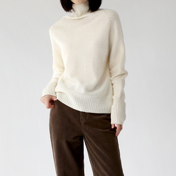 Holgarment Wool Turtleneck